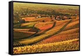 Vineyard Landscape and Blumberg Village-Jochen Schlenker-Framed Stretched Canvas