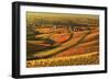 Vineyard Landscape and Blumberg Village-Jochen Schlenker-Framed Photographic Print