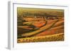 Vineyard Landscape and Blumberg Village-Jochen Schlenker-Framed Photographic Print