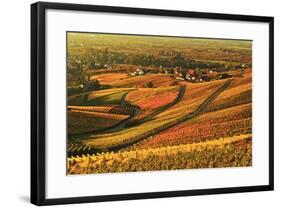 Vineyard Landscape and Blumberg Village-Jochen Schlenker-Framed Photographic Print