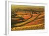 Vineyard Landscape and Blumberg Village-Jochen Schlenker-Framed Photographic Print