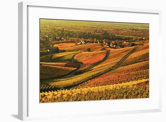 Vineyard Landscape and Blumberg Village-Jochen Schlenker-Framed Photographic Print