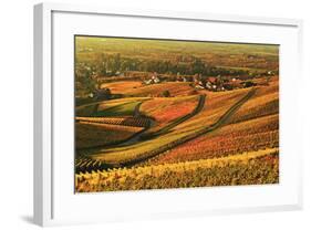 Vineyard Landscape and Blumberg Village-Jochen Schlenker-Framed Photographic Print