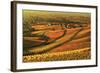 Vineyard Landscape and Blumberg Village-Jochen Schlenker-Framed Photographic Print