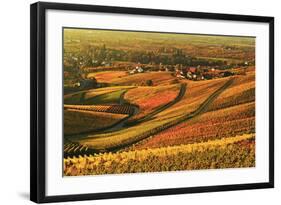 Vineyard Landscape and Blumberg Village-Jochen Schlenker-Framed Photographic Print