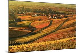 Vineyard Landscape and Blumberg Village-Jochen Schlenker-Mounted Photographic Print