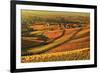 Vineyard Landscape and Blumberg Village-Jochen Schlenker-Framed Photographic Print