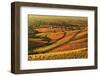 Vineyard Landscape and Blumberg Village-Jochen Schlenker-Framed Photographic Print