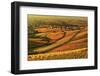 Vineyard Landscape and Blumberg Village-Jochen Schlenker-Framed Photographic Print