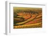 Vineyard Landscape and Blumberg Village-Jochen Schlenker-Framed Photographic Print