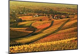 Vineyard Landscape and Blumberg Village-Jochen Schlenker-Mounted Photographic Print