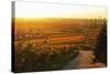 Vineyard Landscape and Buehlertal Village-Jochen Schlenker-Stretched Canvas