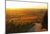 Vineyard Landscape and Buehlertal Village-Jochen Schlenker-Mounted Photographic Print