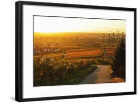 Vineyard Landscape and Buehlertal Village-Jochen Schlenker-Framed Photographic Print