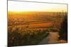 Vineyard Landscape and Buehlertal Village-Jochen Schlenker-Mounted Photographic Print