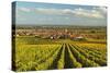 Vineyard Landscape and Maikammer Village, German Wine Route, Rhineland-Palatinate, Germany, Europe-Jochen Schlenker-Stretched Canvas