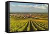 Vineyard Landscape and Maikammer Village, German Wine Route, Rhineland-Palatinate, Germany, Europe-Jochen Schlenker-Framed Stretched Canvas