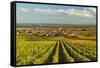 Vineyard Landscape and Maikammer Village, German Wine Route, Rhineland-Palatinate, Germany, Europe-Jochen Schlenker-Framed Stretched Canvas