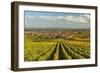 Vineyard Landscape and Maikammer Village, German Wine Route, Rhineland-Palatinate, Germany, Europe-Jochen Schlenker-Framed Photographic Print