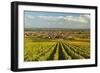 Vineyard Landscape and Maikammer Village, German Wine Route, Rhineland-Palatinate, Germany, Europe-Jochen Schlenker-Framed Photographic Print