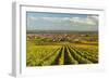 Vineyard Landscape and Maikammer Village, German Wine Route, Rhineland-Palatinate, Germany, Europe-Jochen Schlenker-Framed Photographic Print