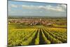 Vineyard Landscape and Maikammer Village, German Wine Route, Rhineland-Palatinate, Germany, Europe-Jochen Schlenker-Mounted Photographic Print