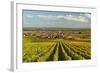 Vineyard Landscape and Maikammer Village, German Wine Route, Rhineland-Palatinate, Germany, Europe-Jochen Schlenker-Framed Photographic Print
