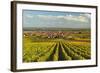 Vineyard Landscape and Maikammer Village, German Wine Route, Rhineland-Palatinate, Germany, Europe-Jochen Schlenker-Framed Photographic Print