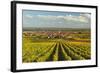 Vineyard Landscape and Maikammer Village, German Wine Route, Rhineland-Palatinate, Germany, Europe-Jochen Schlenker-Framed Photographic Print