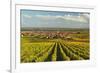 Vineyard Landscape and Maikammer Village, German Wine Route, Rhineland-Palatinate, Germany, Europe-Jochen Schlenker-Framed Photographic Print