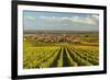 Vineyard Landscape and Maikammer Village, German Wine Route, Rhineland-Palatinate, Germany, Europe-Jochen Schlenker-Framed Photographic Print