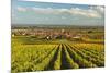 Vineyard Landscape and Maikammer Village, German Wine Route, Rhineland-Palatinate, Germany, Europe-Jochen Schlenker-Mounted Photographic Print