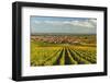 Vineyard Landscape and Maikammer Village, German Wine Route, Rhineland-Palatinate, Germany, Europe-Jochen Schlenker-Framed Photographic Print