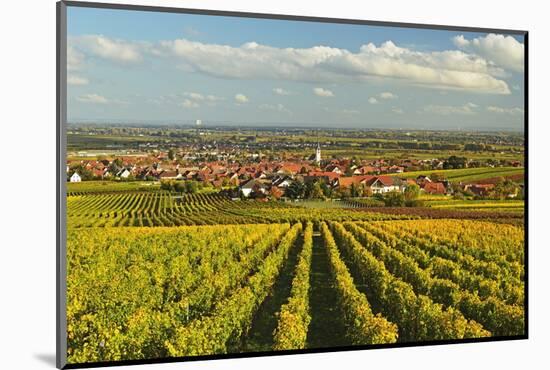 Vineyard Landscape and Maikammer Village, German Wine Route, Rhineland-Palatinate, Germany, Europe-Jochen Schlenker-Mounted Photographic Print