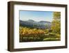 Vineyard Landscape and Riegel Village-Jochen Schlenker-Framed Photographic Print