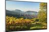 Vineyard Landscape and Riegel Village-Jochen Schlenker-Mounted Photographic Print