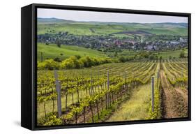 Vineyard Landscape in Transylvania, Near Brasov, Romania, Europe-Matthew Williams-Ellis-Framed Stretched Canvas