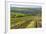 Vineyard Landscape in Transylvania, Near Brasov, Romania, Europe-Matthew Williams-Ellis-Framed Photographic Print