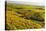 Vineyard Landscape, Near Bad Duerkheim, German Wine Route, Rhineland-Palatinate, Germany, Europe-Jochen Schlenker-Stretched Canvas