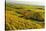 Vineyard Landscape, Near Bad Duerkheim, German Wine Route, Rhineland-Palatinate, Germany, Europe-Jochen Schlenker-Stretched Canvas