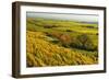 Vineyard Landscape, Near Bad Duerkheim, German Wine Route, Rhineland-Palatinate, Germany, Europe-Jochen Schlenker-Framed Photographic Print