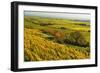 Vineyard Landscape, Near Bad Duerkheim, German Wine Route, Rhineland-Palatinate, Germany, Europe-Jochen Schlenker-Framed Photographic Print