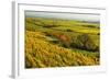 Vineyard Landscape, Near Bad Duerkheim, German Wine Route, Rhineland-Palatinate, Germany, Europe-Jochen Schlenker-Framed Photographic Print