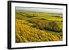 Vineyard Landscape, Near Bad Duerkheim, German Wine Route, Rhineland-Palatinate, Germany, Europe-Jochen Schlenker-Framed Photographic Print