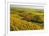 Vineyard Landscape, Near Bad Duerkheim, German Wine Route, Rhineland-Palatinate, Germany, Europe-Jochen Schlenker-Framed Photographic Print