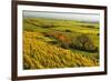 Vineyard Landscape, Near Bad Duerkheim, German Wine Route, Rhineland-Palatinate, Germany, Europe-Jochen Schlenker-Framed Photographic Print