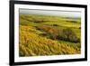 Vineyard Landscape, Near Bad Duerkheim, German Wine Route, Rhineland-Palatinate, Germany, Europe-Jochen Schlenker-Framed Photographic Print