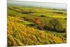 Vineyard Landscape, Near Bad Duerkheim, German Wine Route, Rhineland-Palatinate, Germany, Europe-Jochen Schlenker-Mounted Photographic Print