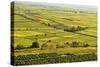 Vineyard Landscape, Near Bad Duerkheim, German Wine Route, Rhineland-Palatinate, Germany, Europe-Jochen Schlenker-Stretched Canvas