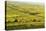 Vineyard Landscape, Near Bad Duerkheim, German Wine Route, Rhineland-Palatinate, Germany, Europe-Jochen Schlenker-Stretched Canvas